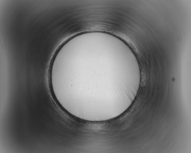 X0000096151086200802151349