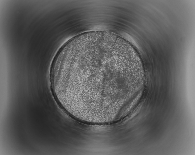 X0000096151087200802151349