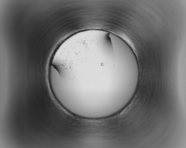 X0000096151088200802151349