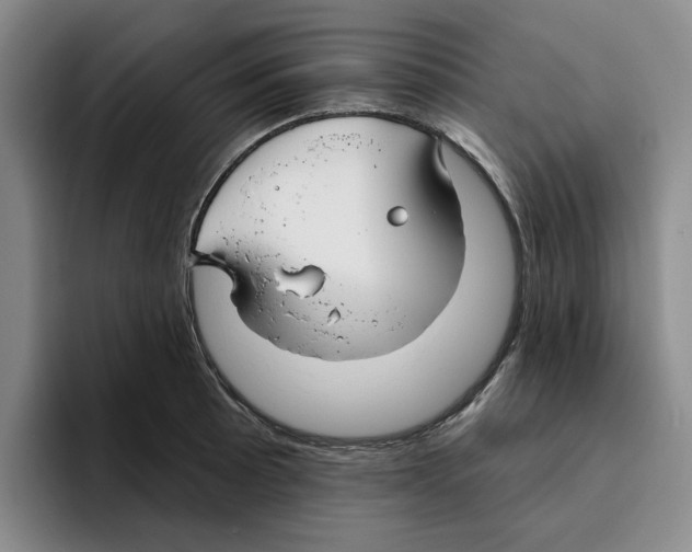 X0000096151089200802151349