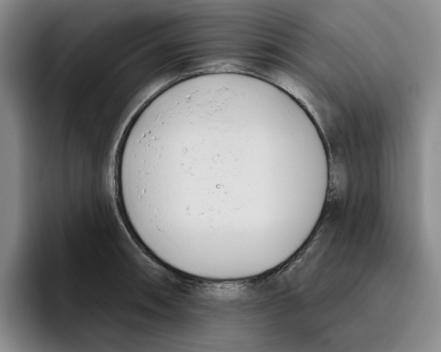 X0000096151090200802151349