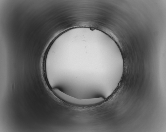 X0000096151091200802151349