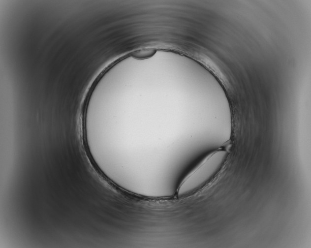 X0000096151092200802151349