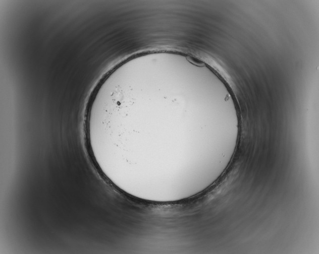 X0000096151093200802151349