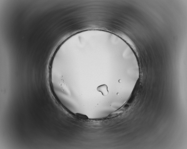 X0000096151096200802151349