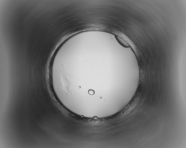 X0000096151099200802151349