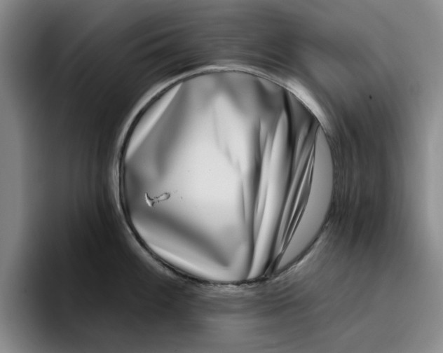 X0000096151100200802151349