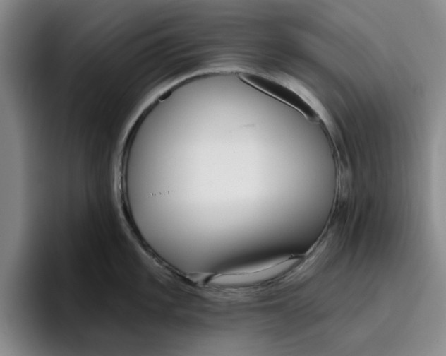 X0000096151101200802151349