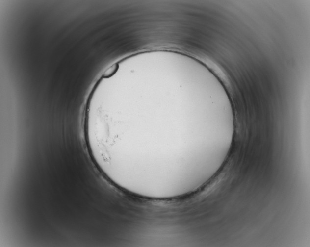 X0000096151102200802151349