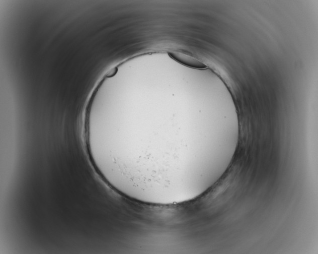 X0000096151103200802151349