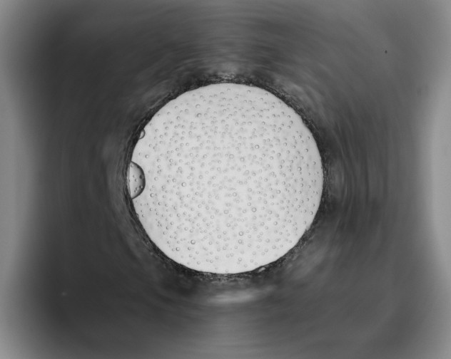 X0000096151105200802151348