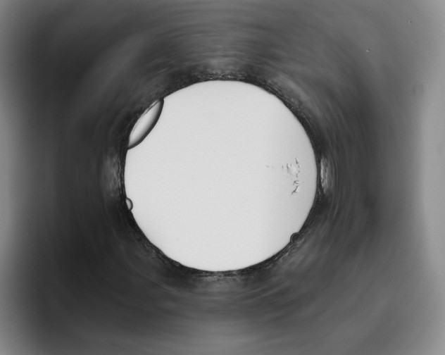 X0000096151107200802151348