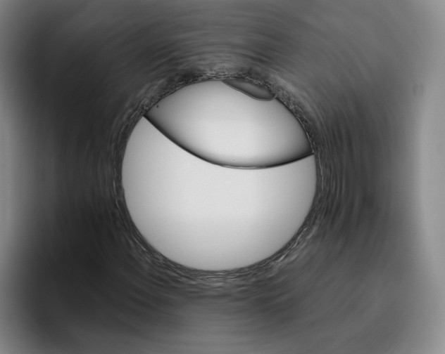 X0000096151108200802151348