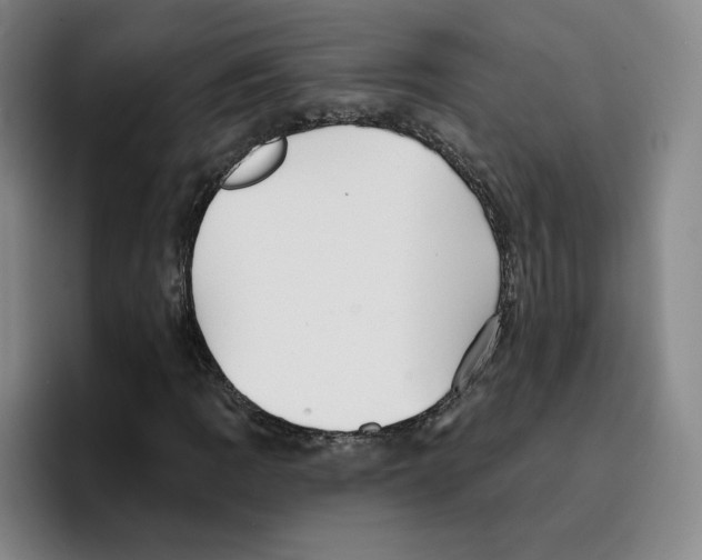 X0000096151109200802151349