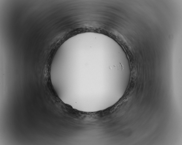 X0000096151110200802151349