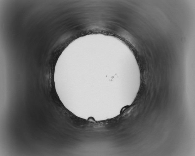 X0000096151111200802151349