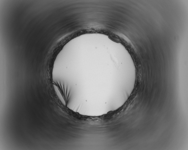 X0000096151112200802151349