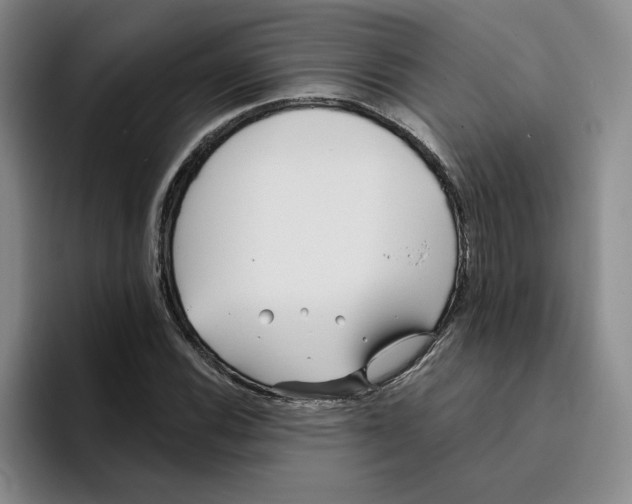 X0000096151116200802151349