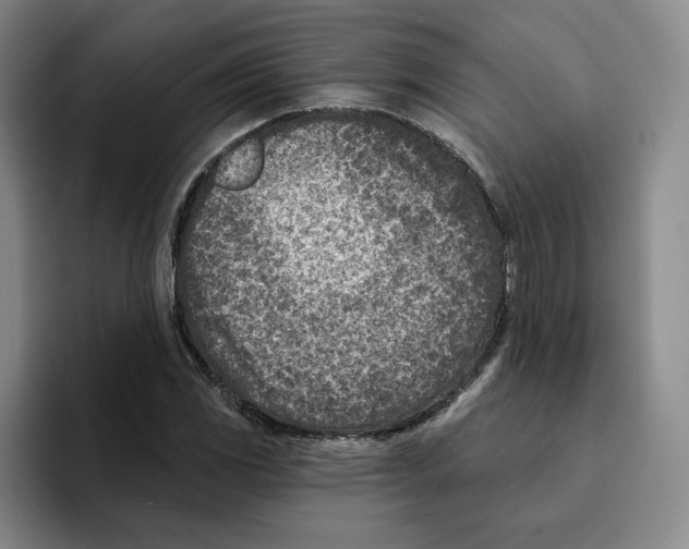 X0000096151117200802151349