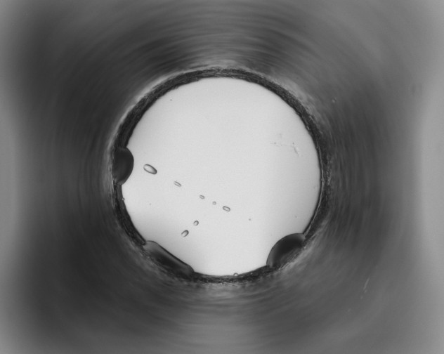 X0000096151118200802151349