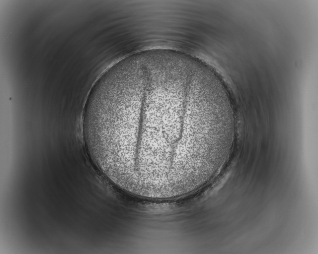 X0000096151121200802151349