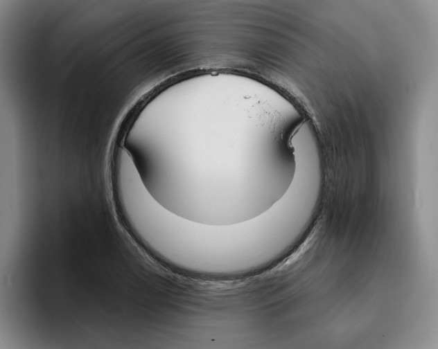 X0000096151122200802151349