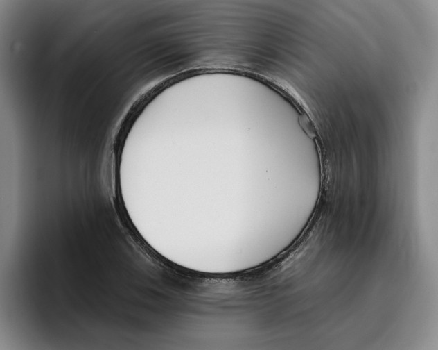 X0000096151123200802151349