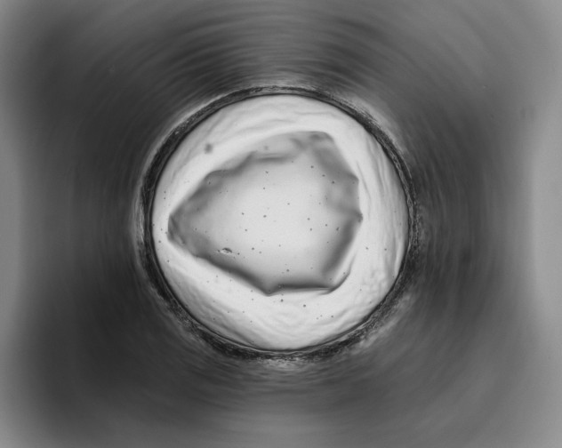 X0000096151125200802151349