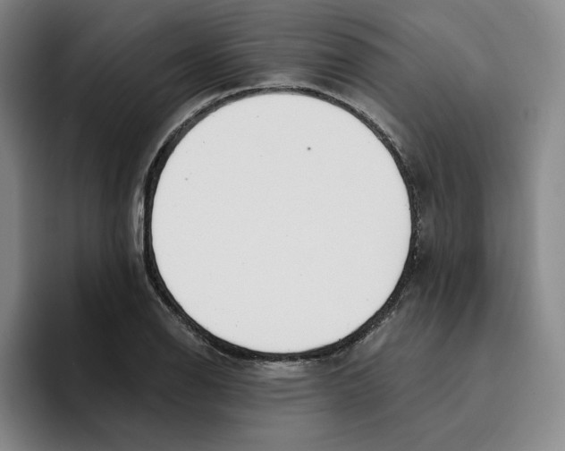 X0000096151126200802151349