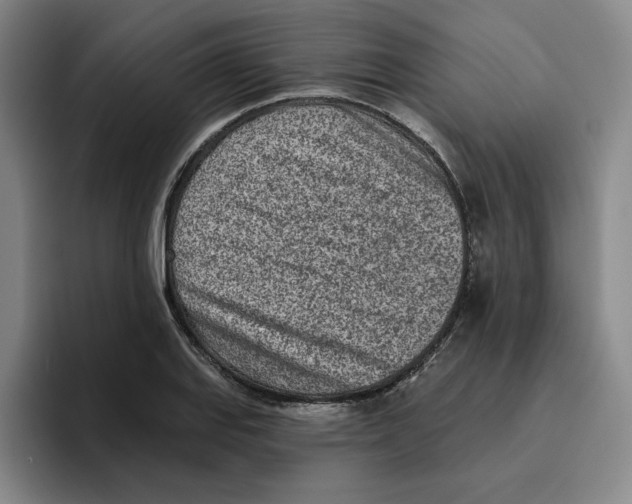 X0000096151127200802151349