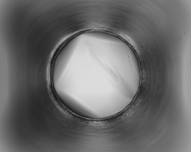 X0000096151128200802151349