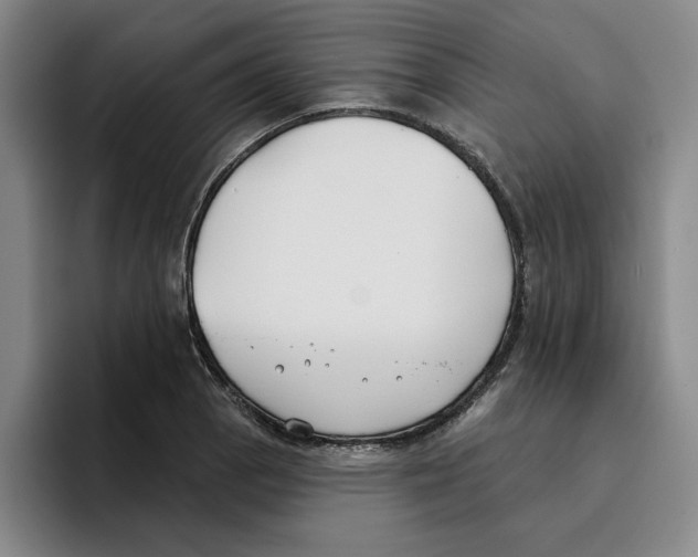 X0000096151129200802151349