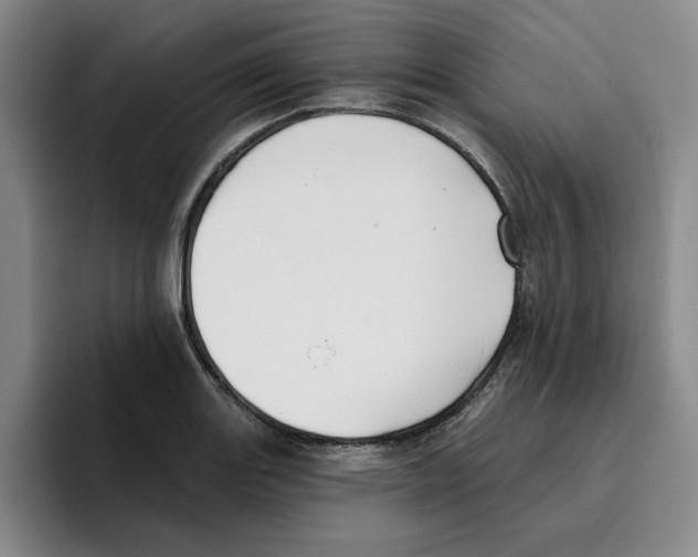 X0000096151131200802151349