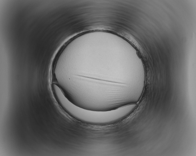 X0000096151132200802151349