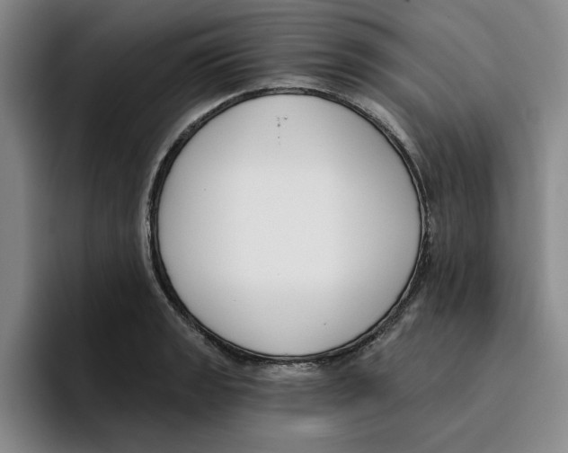 X0000096151133200802151349