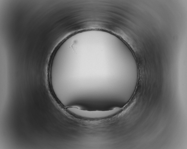 X0000096151134200802151349