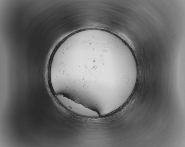 X0000096151136200802151349