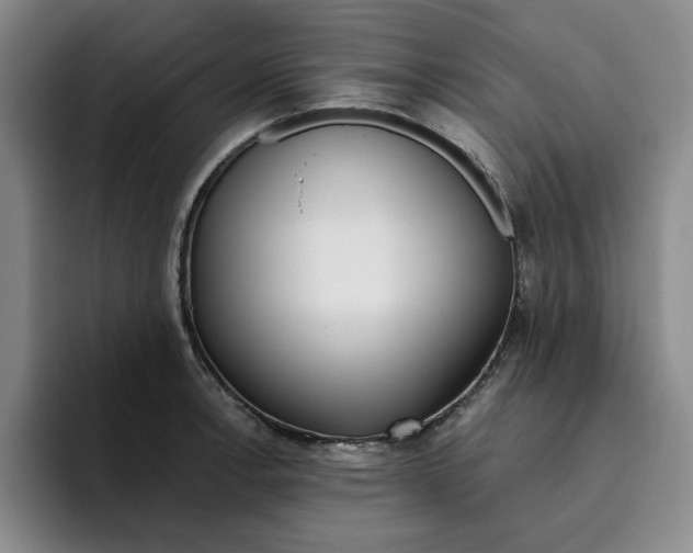 X0000096151138200802151349