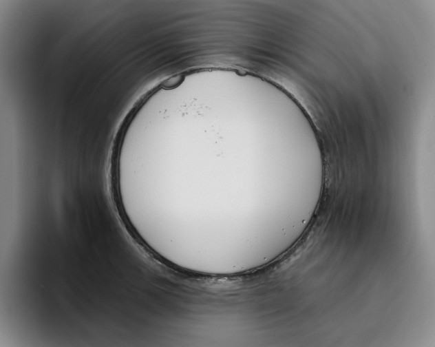 X0000096151139200802151349