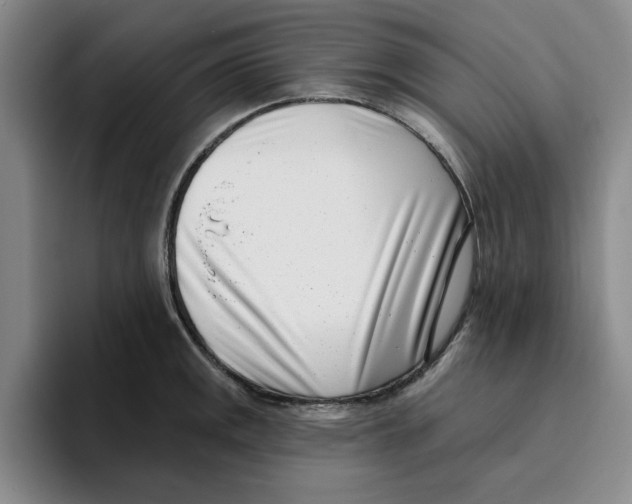 X0000096151141200802151349