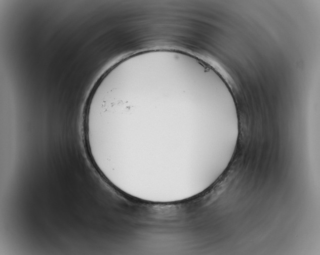 X0000096151142200802151349