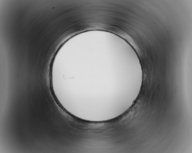 X0000096151143200802151349