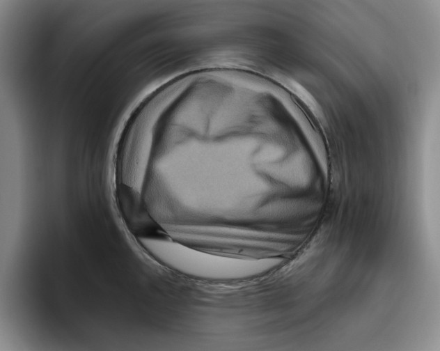 X0000096151144200802151349