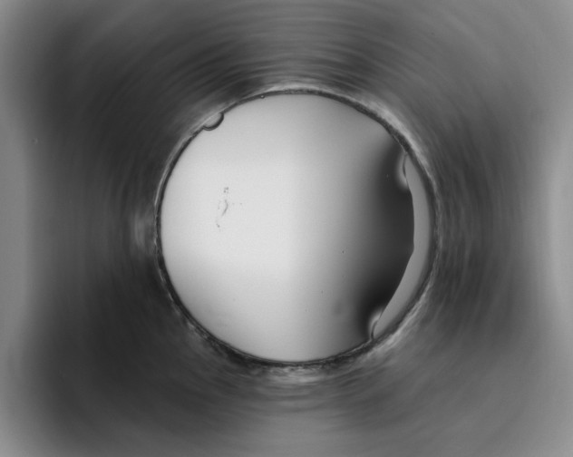 X0000096151145200802151349