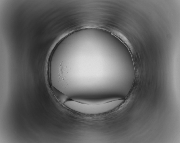 X0000096151146200802151349