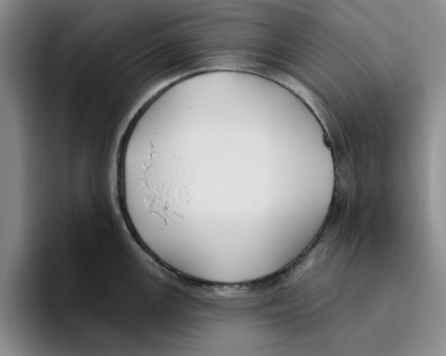 X0000096151147200802151349