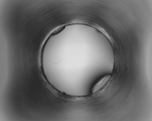 X0000096151148200802151349