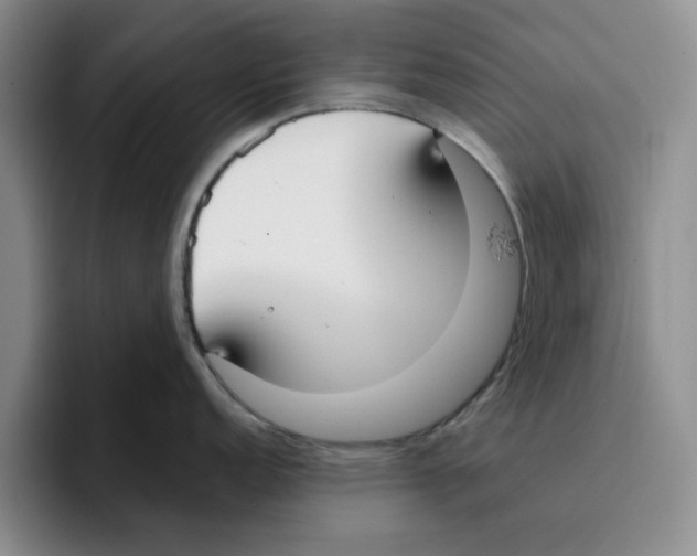 X0000096151152200802151349