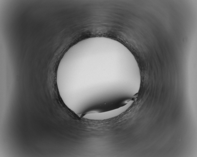 X0000096151153200802151348