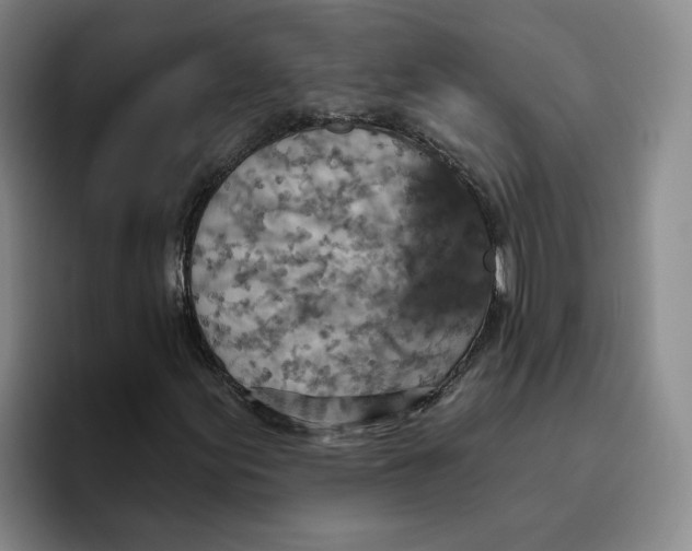 X0000096151155200802151348